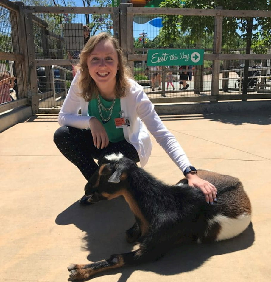 Taming the beast: Journey of an analytics intern at the zoo