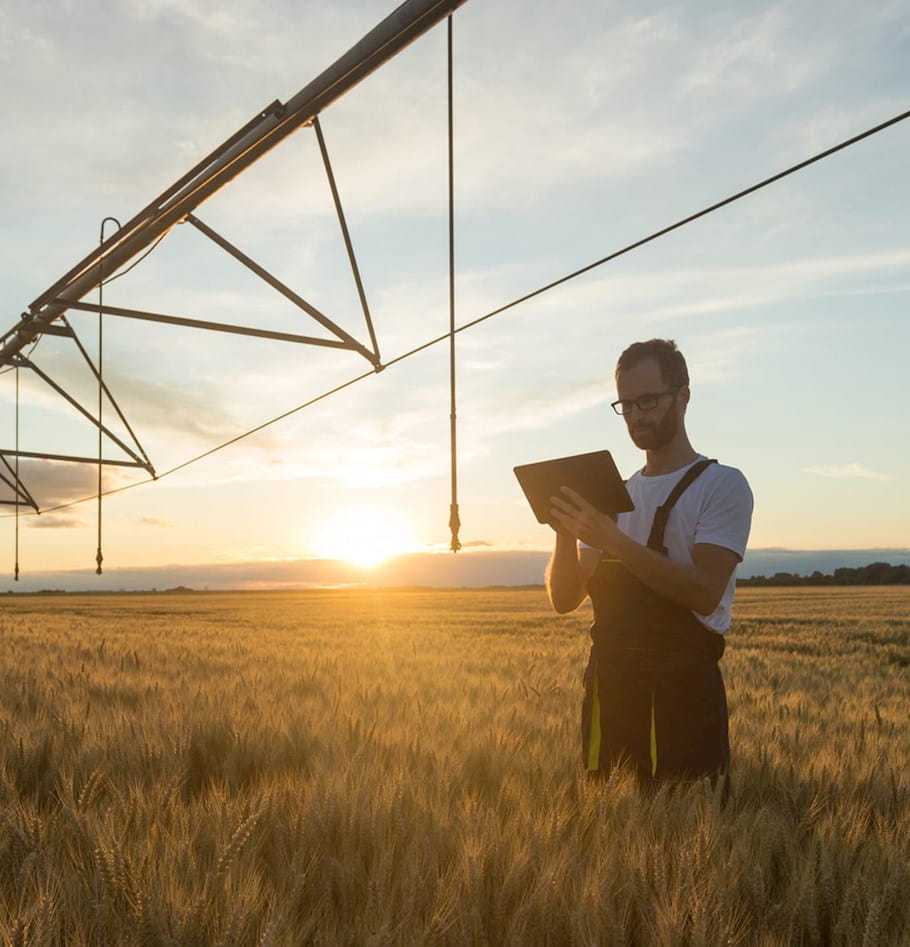 Cultivating a new season for digital transformation in Farm Credit 