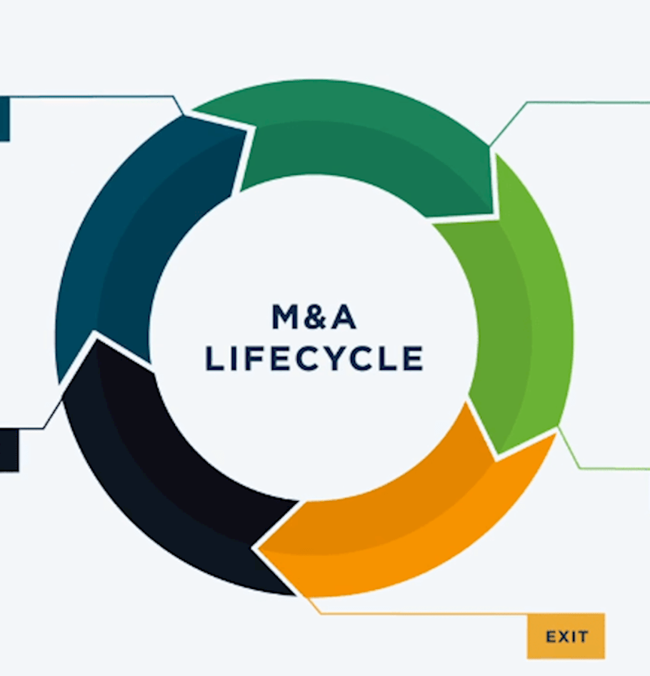 Using Intellio® to Create Value Across the M&A Lifecycle